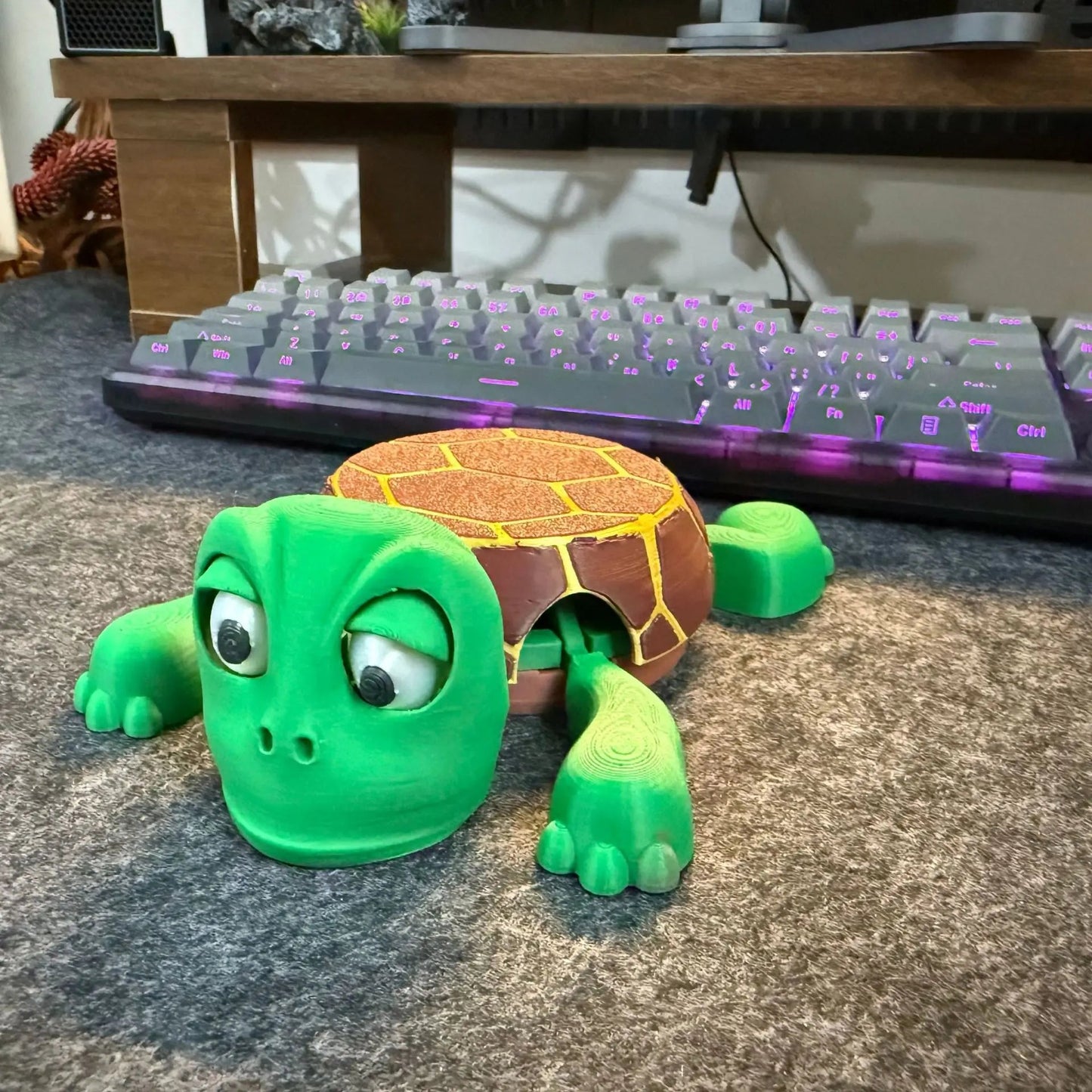 3D-Printed Turtle Coaster