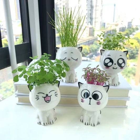 Cute Cat Planter